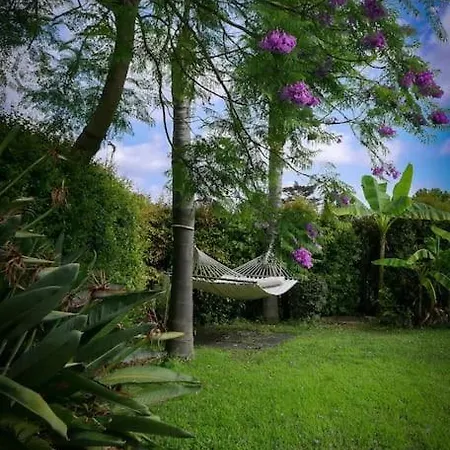 Stunning Private With Pool In Willa